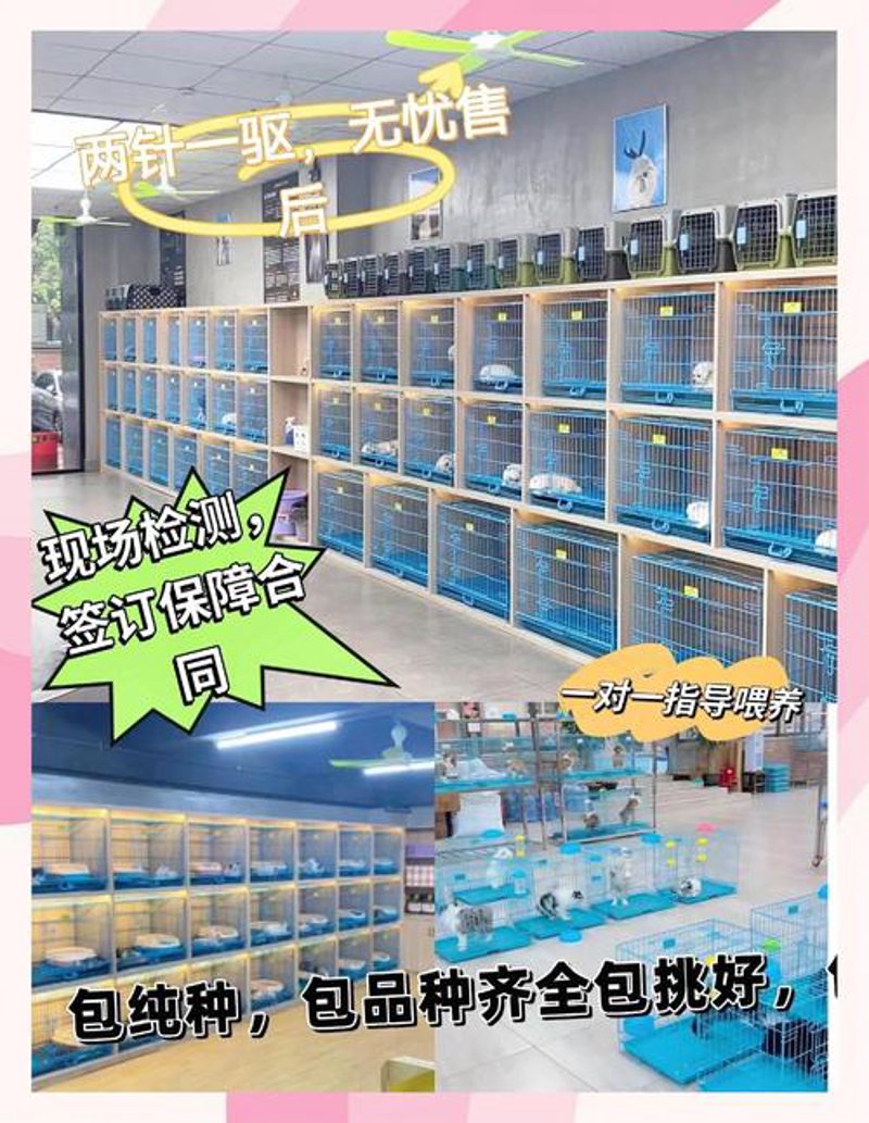 南京商贸公司背后的市场活力